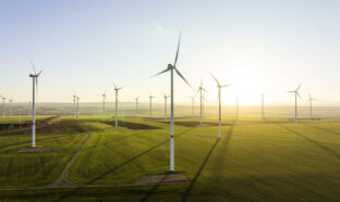 Champ d'éoliennes en Allemagne.