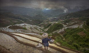 Photo d'un agriculteur dans un champ en terrasse, Longsheng, province du Guangxi, Chine.