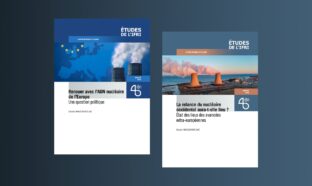 études nucléaire Cécile Maisonneuve