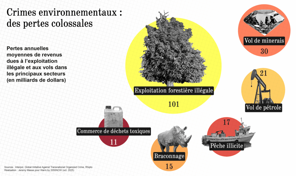 Infographie représentant les pertes annuelles moyennes de revenus dues à l'exploitation illégale et aux vols dans les principaux secteurs.