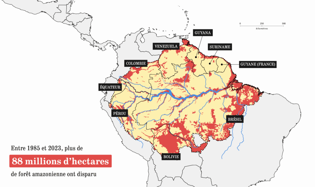 Une carte montrant l'évolution de la déforestation en Amazonie, entre 1985 et 2023.