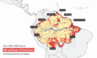 Une carte montrant l'évolution de la déforestation en Amazonie, entre 1985 et 2023.
