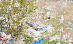 Une photo de déchets dispersés dans la nature.