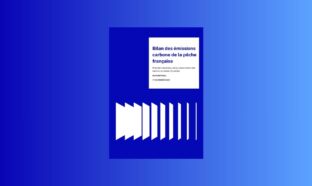 L'étude sur les émissions de carbone sur secteur de la pêche française, publiée par le think tank The Shift Project et l’association Bloom, le 17 novembre.