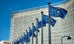 European EU flags in front of the Berlaymont building, headquarters of the European commission in Brussels